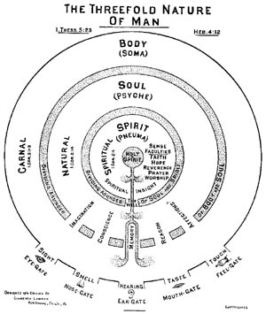 Clarence Larkin Charts